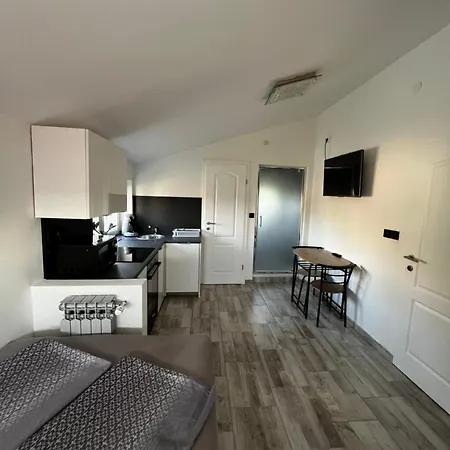 Apartment Stinjan *